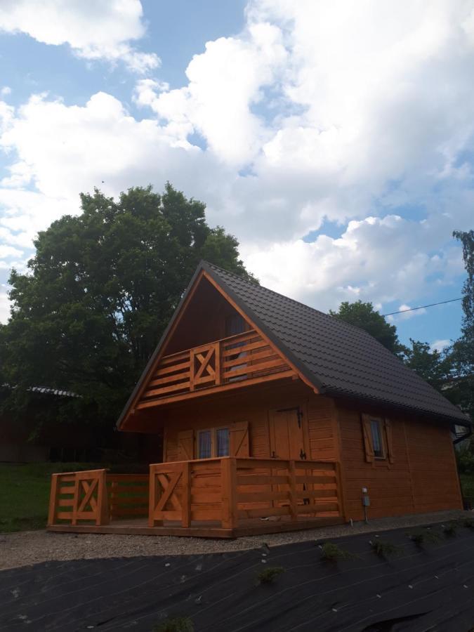 Domek Pod Debem Villa Ryczow Esterno foto